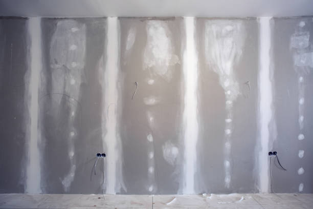 Best Wallpaper Removal and Painting  in USA